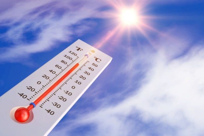 Météo Algérie : Alerte canicule, les prévisions pour le 1er août 2024 Météo Algérie