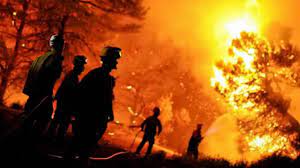 Pompiers en action lors d'un incendie forestier en Algérie.