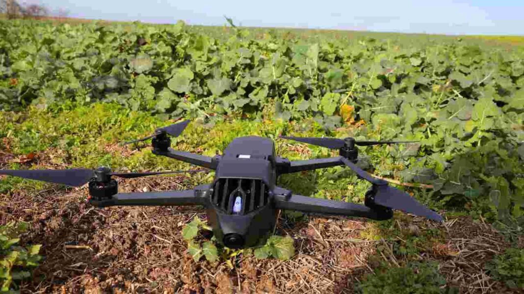 Drone agricole sur un champ de céréales pour la surveillance des cultures.