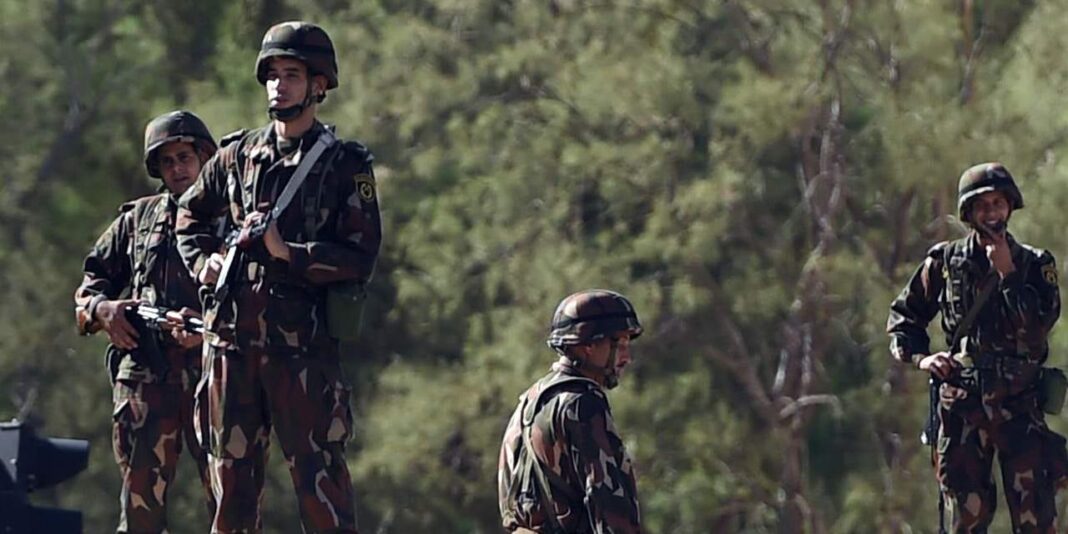 Forces de sécurité en action en Algérie Soldats en patrouille dans une zone boisée en Algérie.