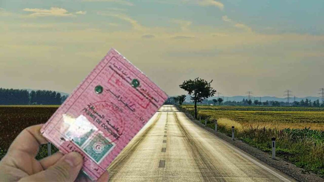 Permis de conduire rose en main sur route rurale en Algérie.