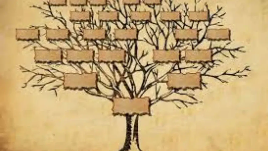Arbre généalogique avec branches et plaques pour retrouver ses ancêtres.