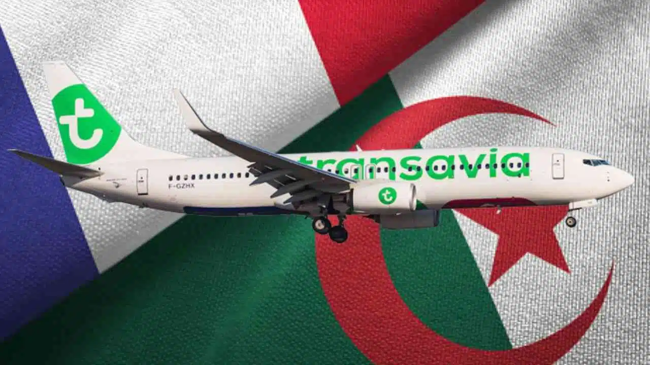 Avion Transavia sur fond de drapeau Algérie.