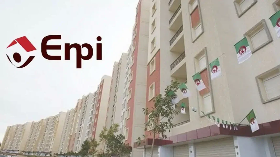 Appartements modernes avec drapeaux algériens.