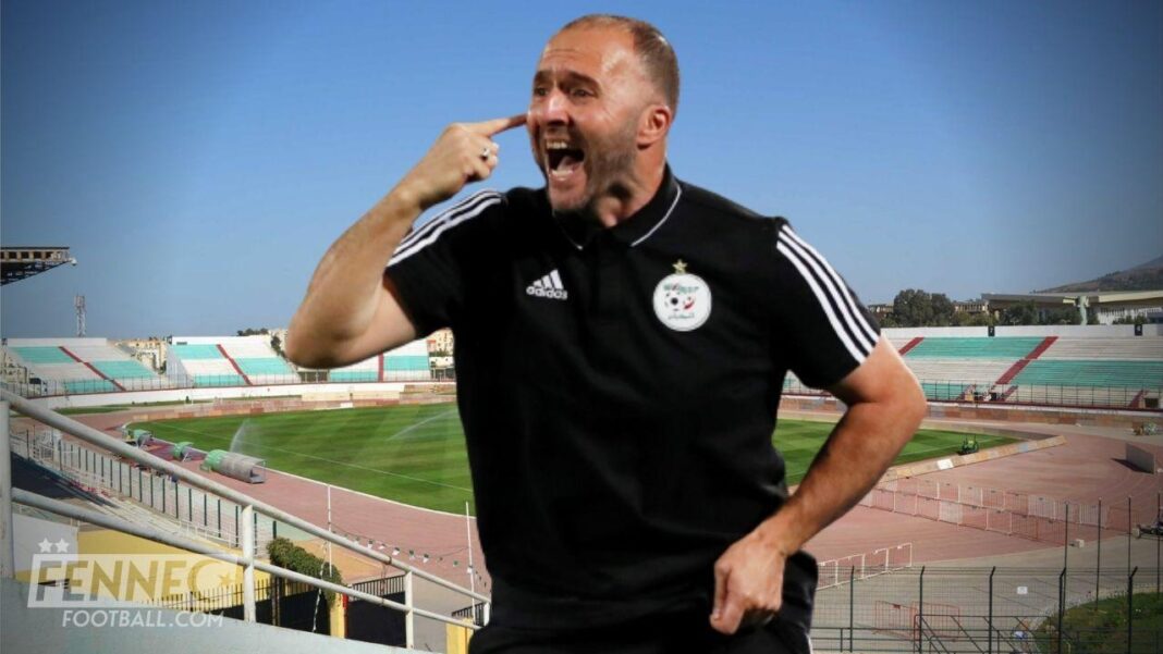 Djamel Belmadi, entraîneur de l'équipe d'Algérie, en pleine célébration sur le terrain.