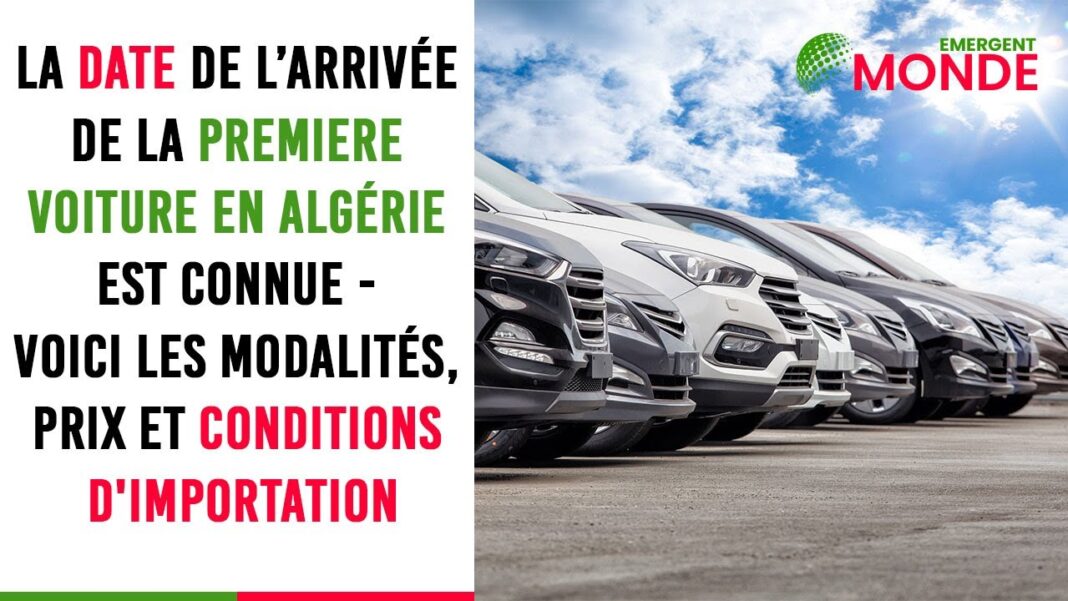 Véhicules neufs alignés dans un parking en Algérie.