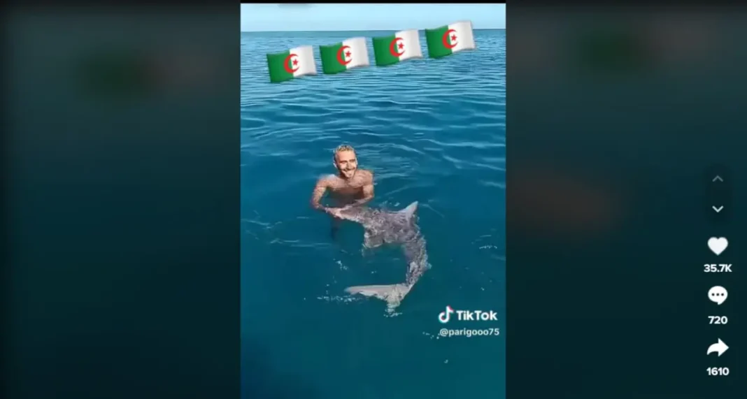 Homme nageant avec un requin dans la mer en Algérie.