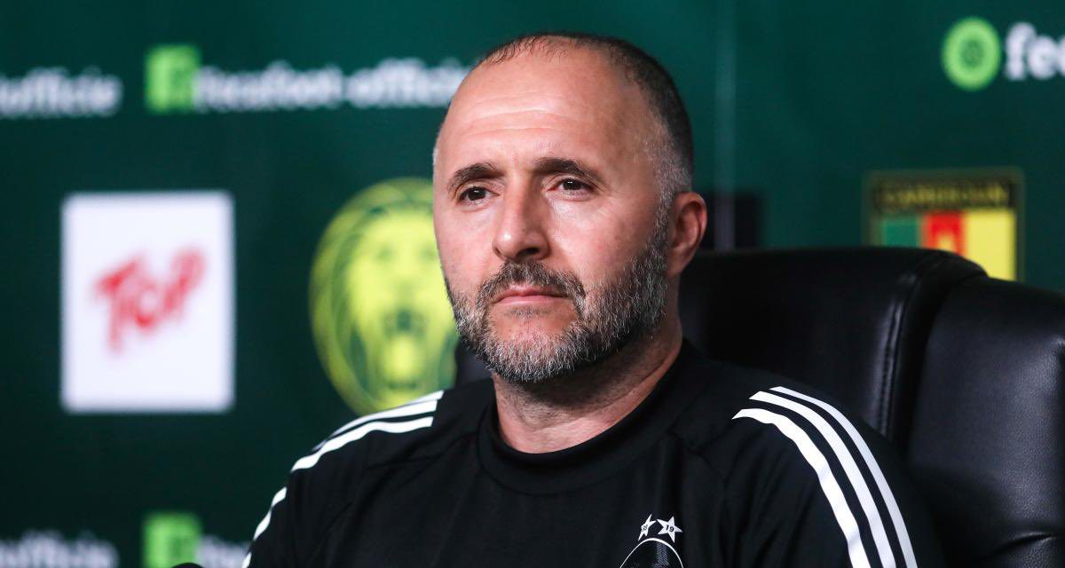 Djamel Belmadi : le secret d’un leader passionné