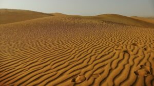 Sahara occidental : la France réaffirme son soutien au Maroc