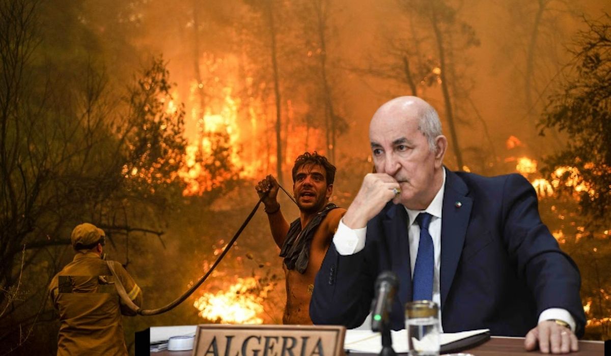 Tebboune décidé à lutter efficacement contre les incendies en Algérie : les décisions