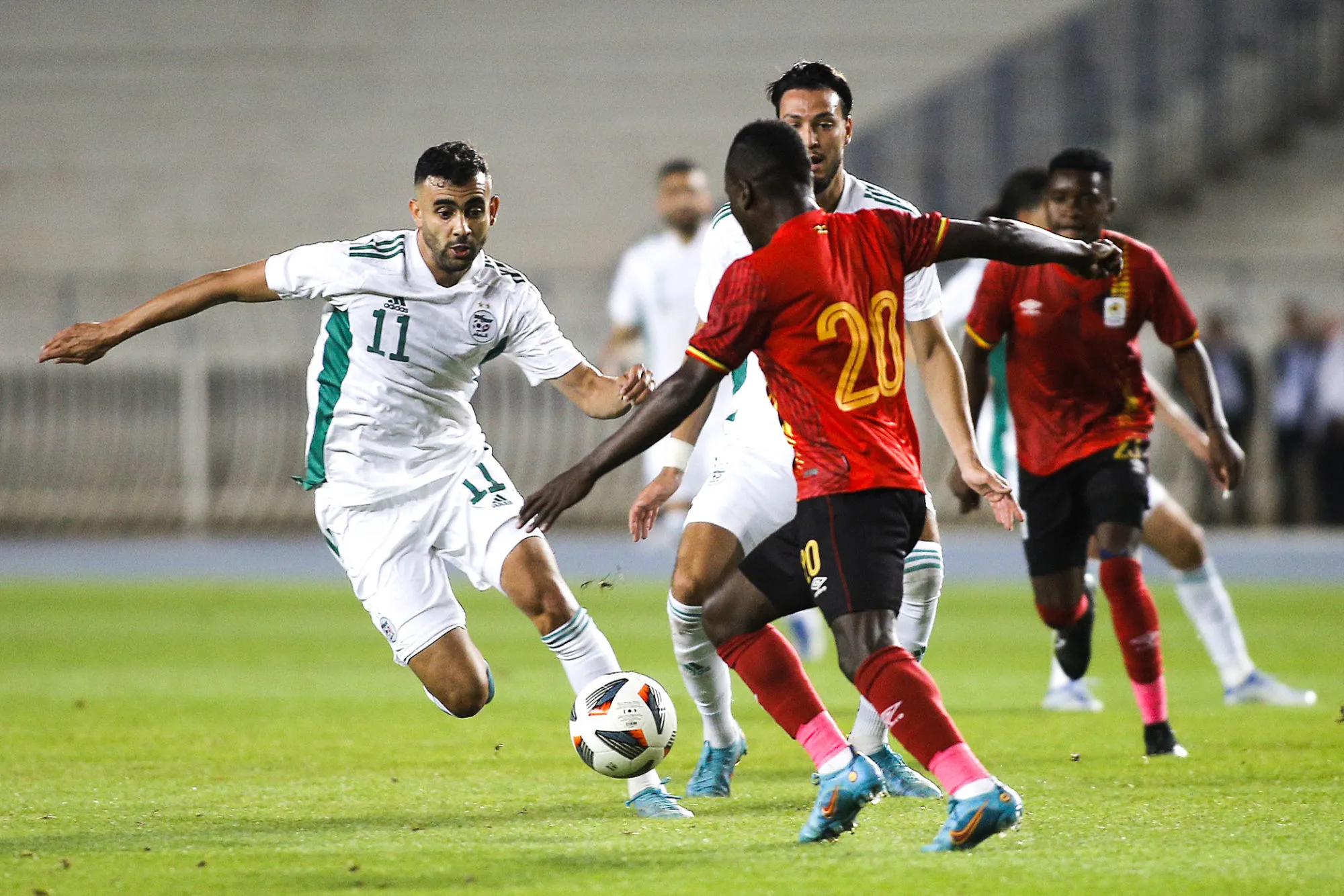 Ouganda vs Algérie : Petkovic dans l'incertitude, les enjeux de l'éliminatoire pour la Coupe du Monde 2026