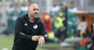 Démission de Djamel Belmadi : Ça vire au clash avec la FAF ! Djamel Belmadi