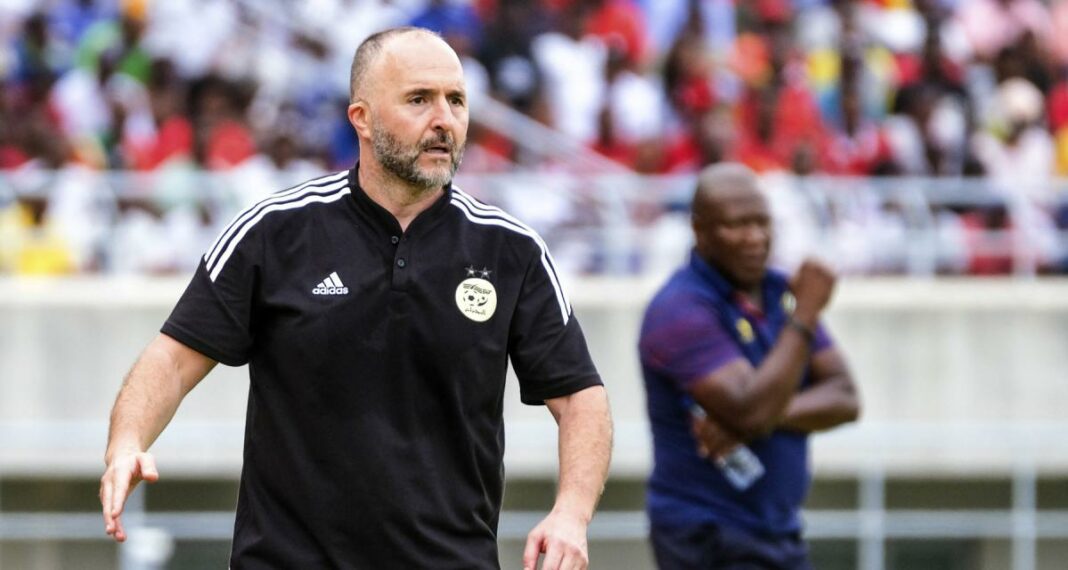 Djamel Belmadi, entraîneur de l'équipe d'Algérie, sur le terrain.