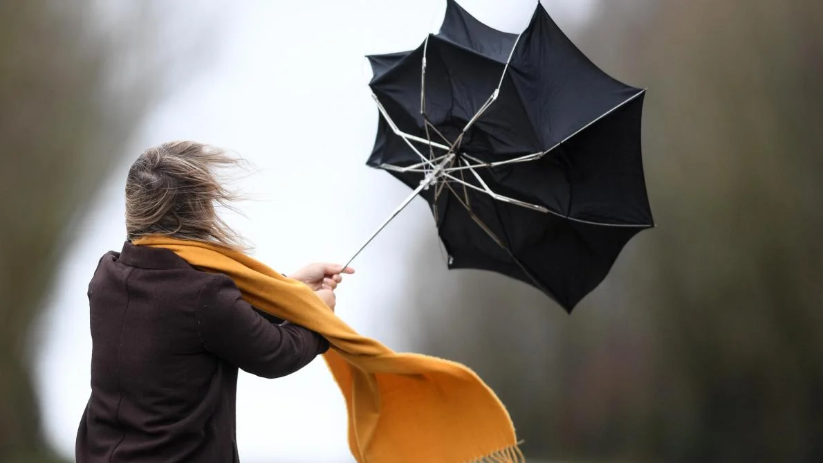 Météo Algérie : neige pluies et vents violents ce 6 janvier 2025 Alerte Météo Algérie : Prévisions pluvieuses et orageuses dans plusieurs régions