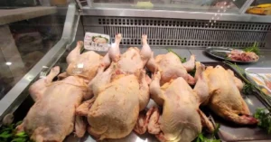 Poulets frais exposés dans une vitrine de supermarché en Algérie.