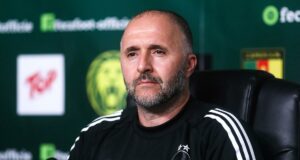 L'après Belmadi : La FAF examine 20 CV de sélectionneurs pour l'équipe nationale algérienne belmadi