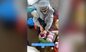 Agent de sécurité inspectant des bouteilles d'huile d'olive contenant des cigarettes.