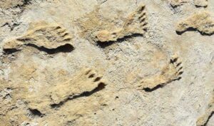 Empreintes de mains et de pieds vieilles de plus de 100 000 ans au Maroc.