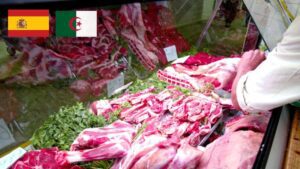 Viande fraîche en vente avec drapeaux de l'Espagne et de l'Algérie.