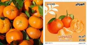 Découvrez la Présence Surprenante des Clémentines Algériennes dans les Supermarchés Français ! produits algériens
