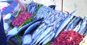 Ramadan/Algérie : vers une disponibilité optimale des produits halieutiques