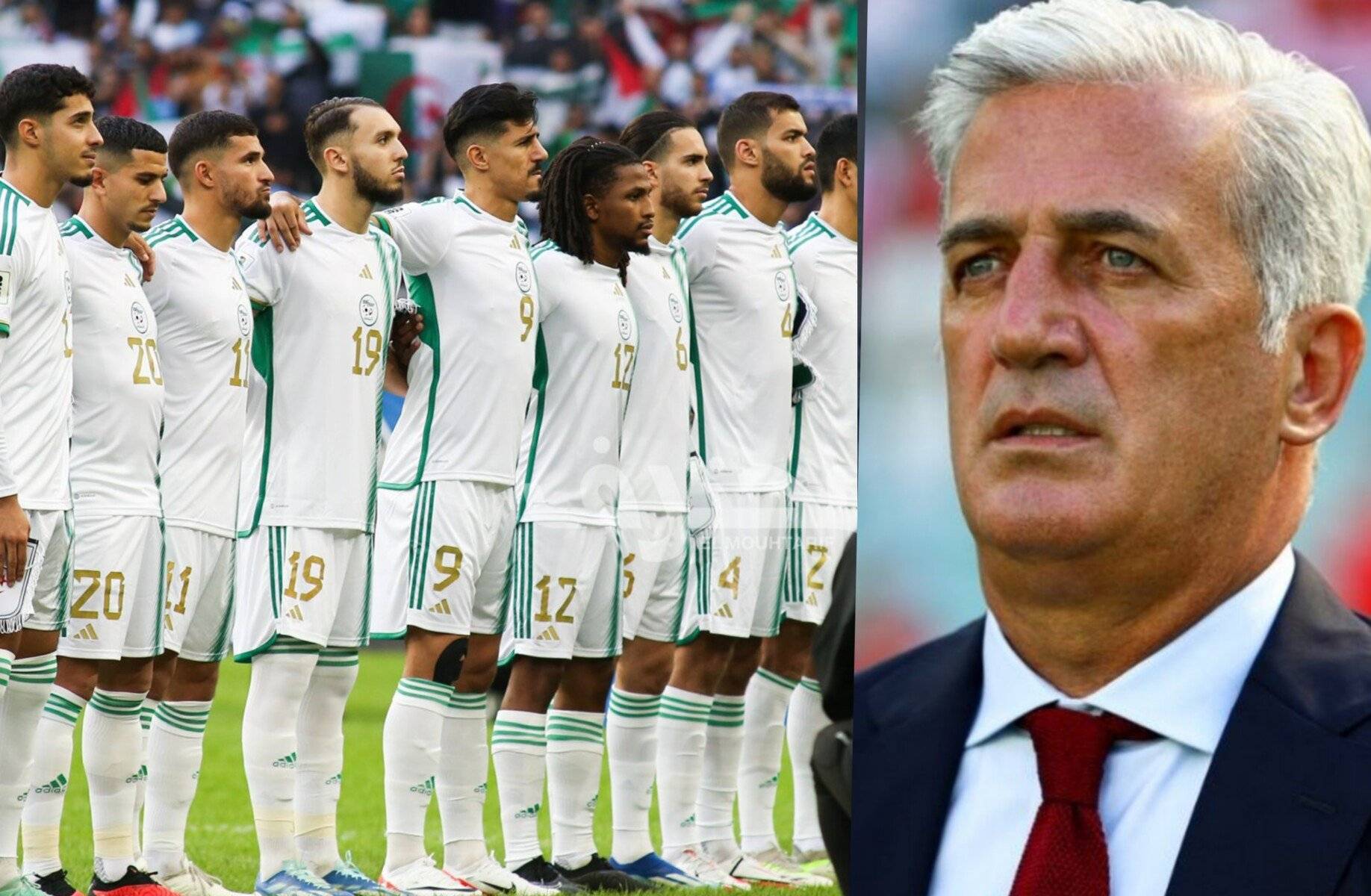 Vladimir Petkovic et l'équipe d'Algérie lors d'un match.