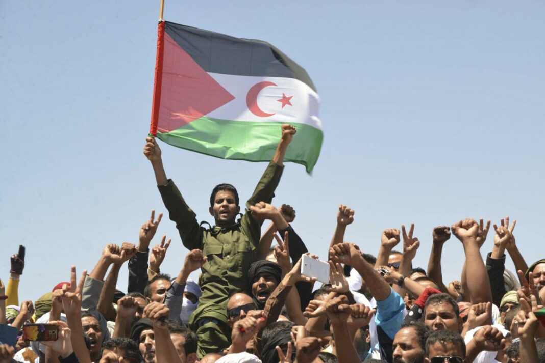 Manifestants algériens avec drapeau du Sahara Occidental.