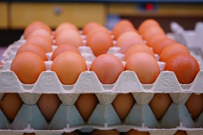 Œufs dans un plateau en carton, prix réduit en Algérie.