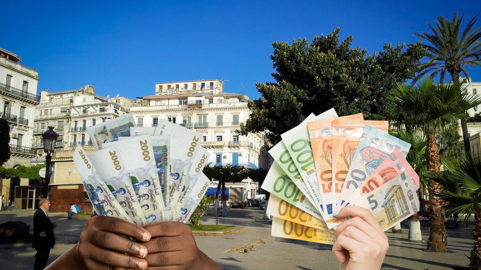 Gros plan sur des mains tenant des billets en euros à Tunis.