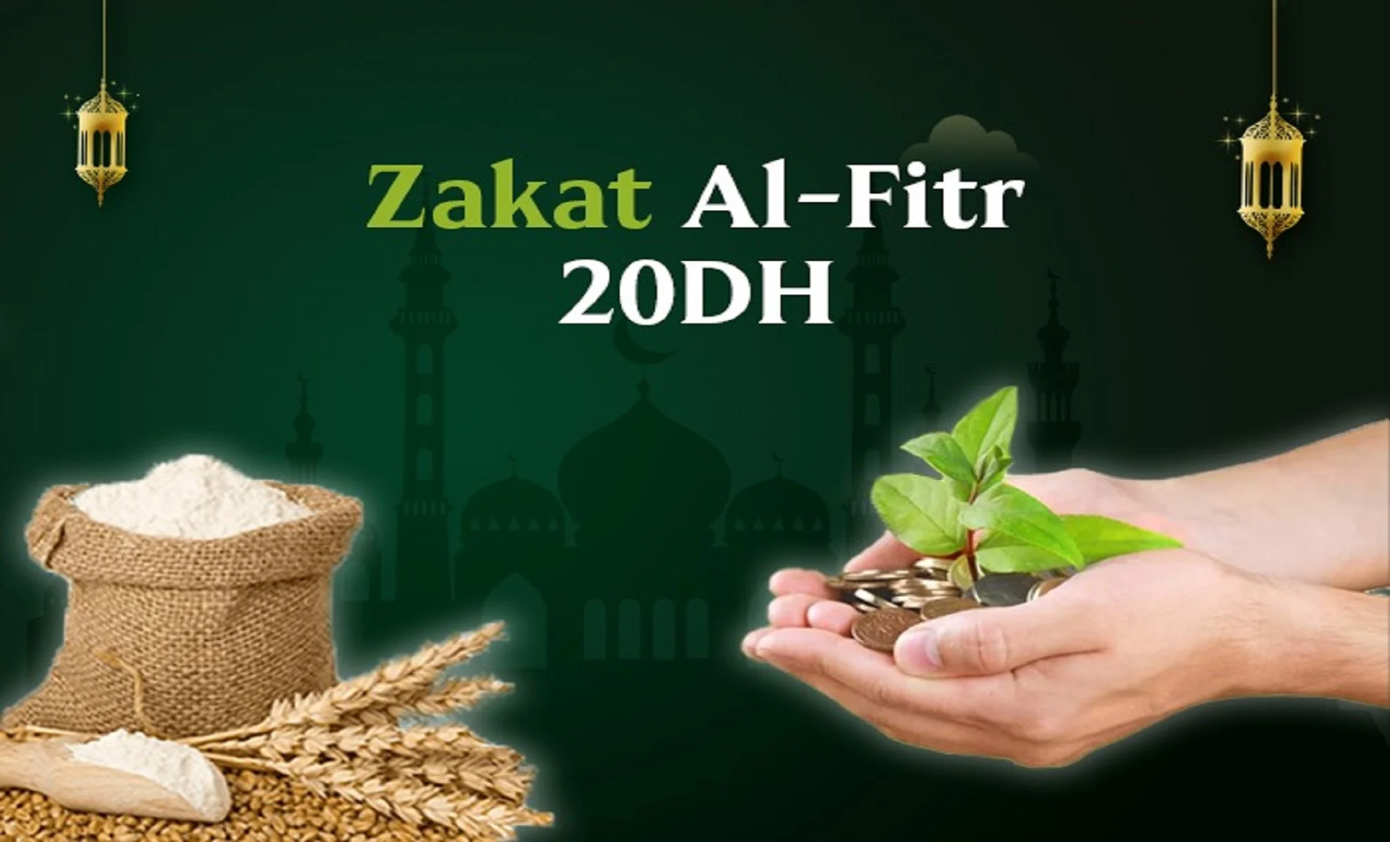 Image illustrant la Zakat el Fitr avec une plante et des grains de blé.