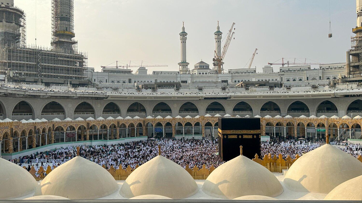 Hadj et Omra 2024 : Air Algérie met en place un numéro vert ! Hadj et Omra 2024 : +966 800 85 005 85, le numéro vert d'Algérie Ferries