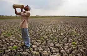 Homme dans un champ sec et craquelé, symbole de la crise de l'eau.