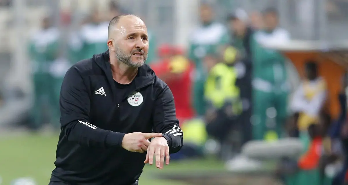 Djamel Belmadi : La fin ou vers un retour prochain dans le monde du football ?