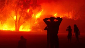 Et ça repart en force! Les feux de forêts font leur retour, et, sans pitié, ravagent plusieurs wilayas Les feux de forêts ravagent plusieurs wilayas en Algérie