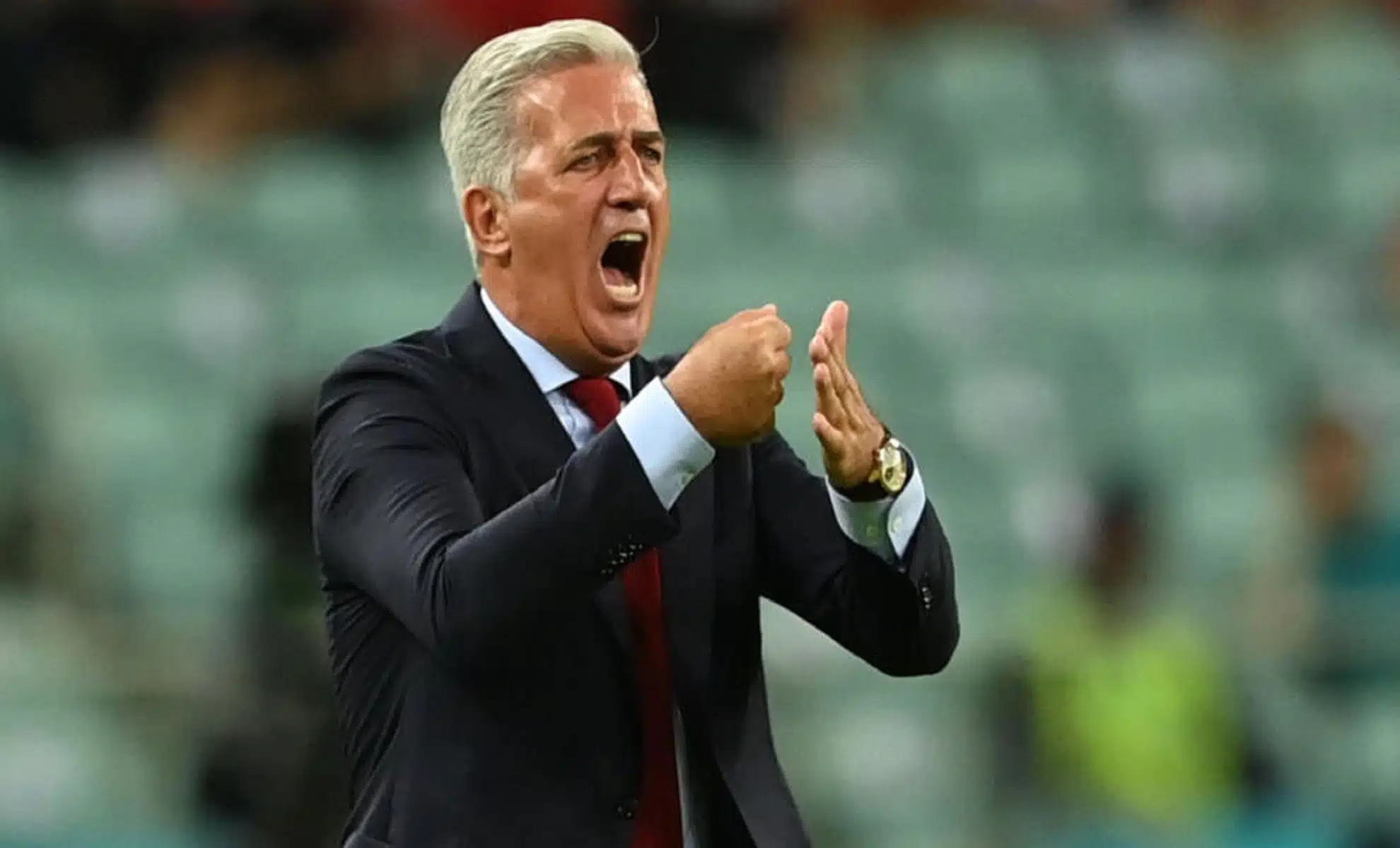 Eliminatoires CAN 2025 : Les atouts de Vladimir Petkovic pour réussir la mission Équipe d'Algérie : Vladimir Petkovic impose son leadership pour le retour d'un joueur