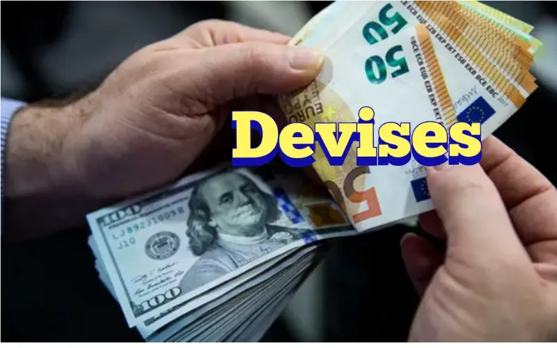 Algérie : Ce qu'il faut savoir sur le nouveau règlement sur l’exportation de devises Algérie : Ce qu'il faut savoir sur le nouveau règlement sur l’exportation de devises