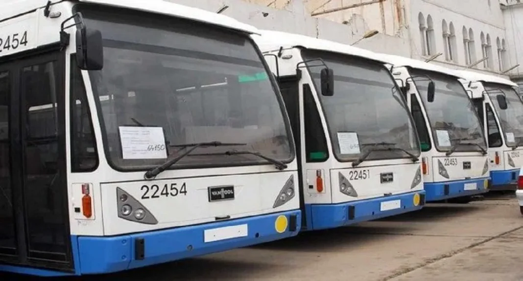 Groupe de bus modernes pour la nouvelle ligne de transport en commun.