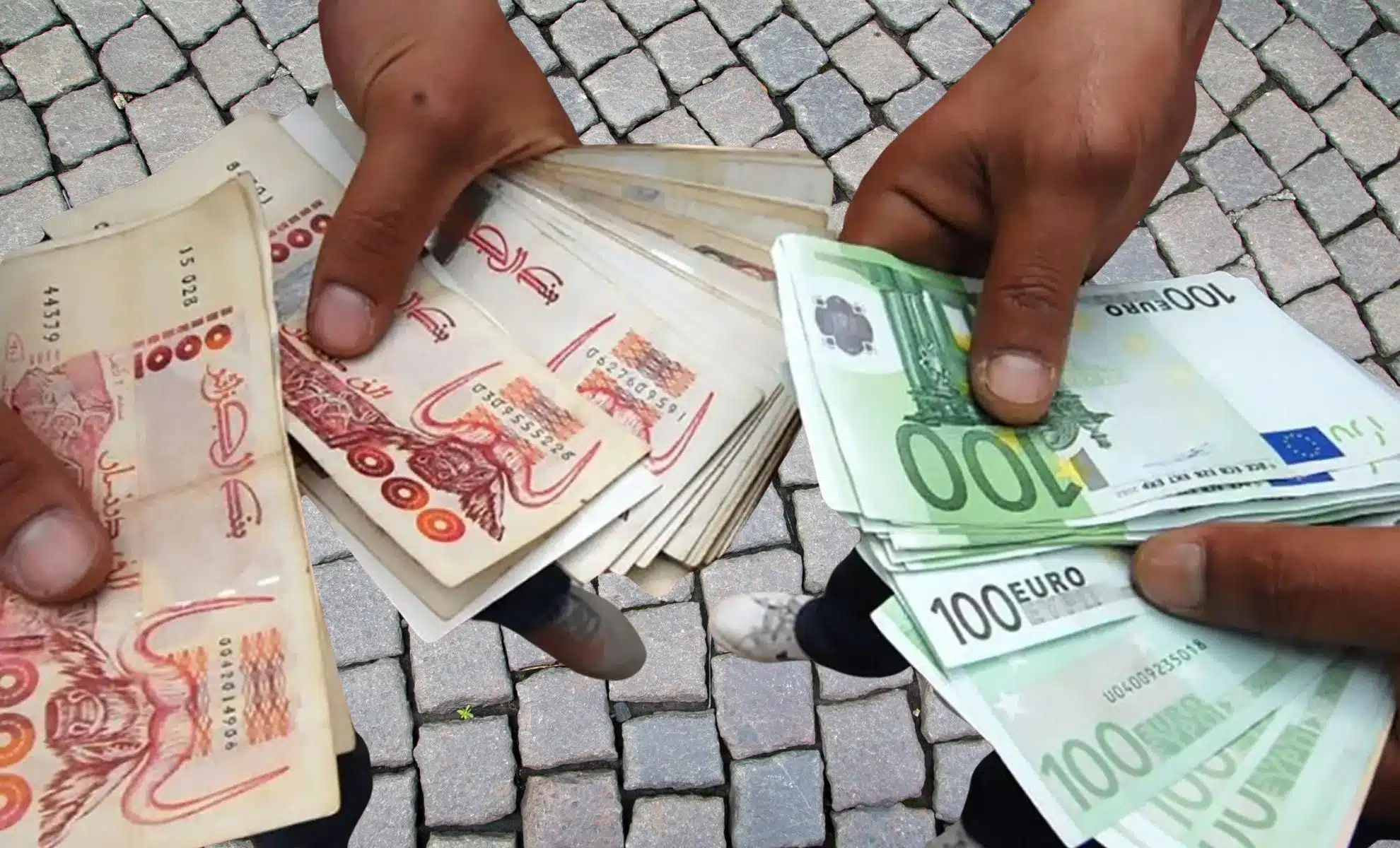 Euro à 265 DA : la flambée qui affole l’Algérie ! Taux de change en Algérie : la valeur de 100 € face au DZD à la banque et au marché noir