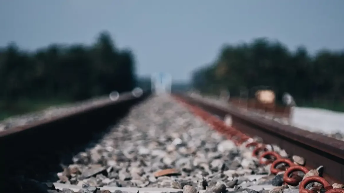 Algérie : un projet stratégique en marche avec la construction d'une ligne ferroviaire de 2.000 km en 2025 Algérie : un projet stratégique en marche avec la construction d'une ligne ferroviaire de 2.000 km en 2025