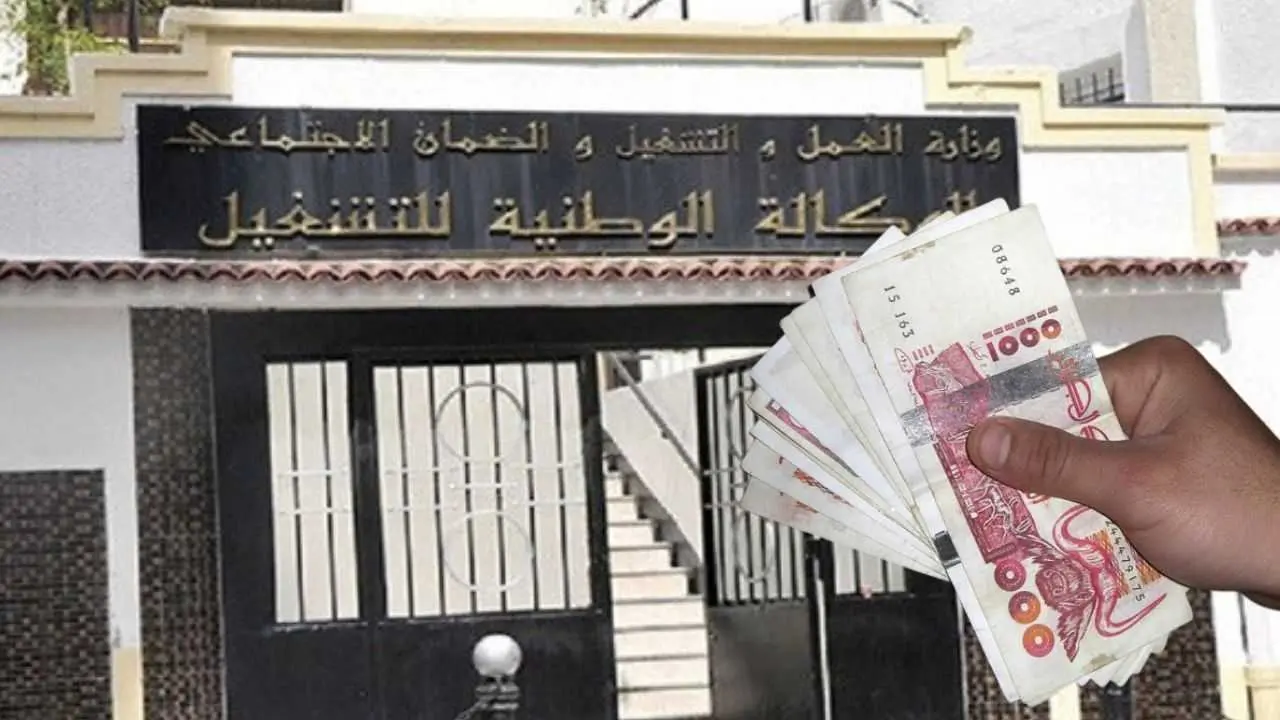 Chômage en Algérie : une baisse choc à 9,7 % en 2024... mais à quel prix ? Chômage en Algérie : une baisse choc à 9,7 % en 2024... mais à quel prix ?