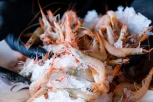 Montpellier : un couple musulman victime de haine en ligne après l’ouverture de leur restaurant Montpellier-Le restaurant L’Ocean Fish