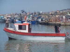 France : une coopérative bretonne fait construire ses bateaux de pêche en Algérie Algérie : Construction de navires de pêche