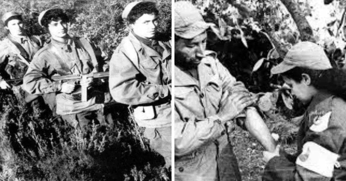 5 juillet en Algérie : hommage vibrant aux femmes de l’indépendance algérienne 5 juillet en Algérie : hommage vibrant aux femmes de l’indépendance algérienne