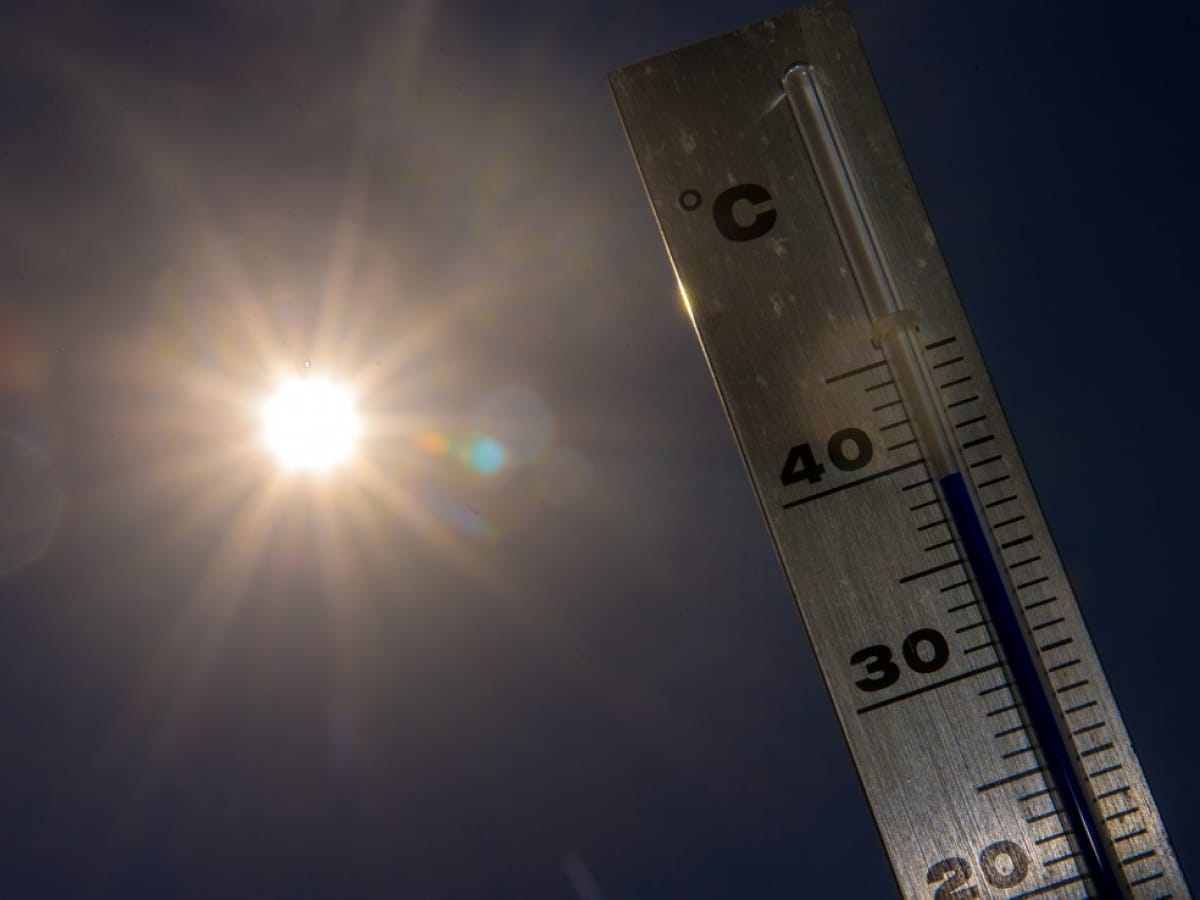 Canicule en Algérie : découvrez les wilayas en alerte vigilance ce 28 juillet Météo du lundi 7 juillet : orages violents et épisode de canicule à prévoir aujourd’hui partout en France