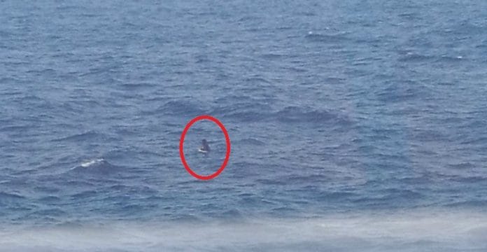 Ce Migrant Marocain brave la mer pour rejoindre l’Espagne à la nage : une traversée risquée qui captive l’attention Ce Migrant Marocain brave la mer pour rejoindre l’Espagne à la nage : une traversée risquée qui captive l’attention