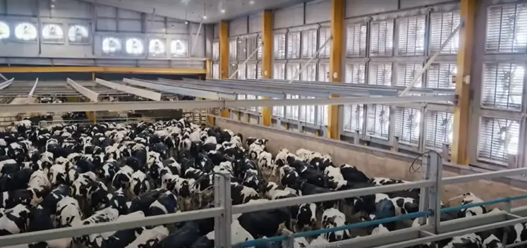 Baladna investit 500 millions de dollars pour lancer une ferme géante en Algérie Baladna investit 500 millions de dollars pour lancer une ferme géante en Algérie