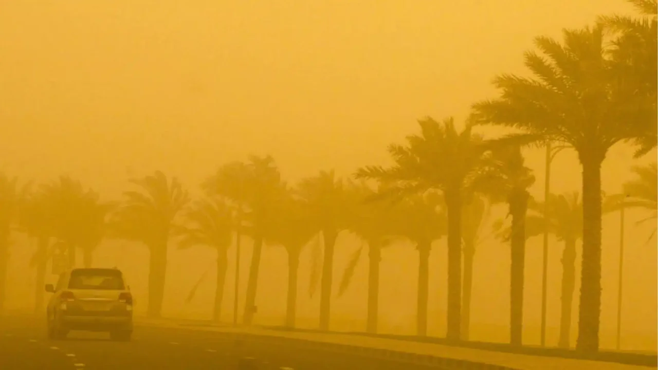 Météo en Algérie ce week-end : fortes chaleurs, orages et vents de sable attendus ce 8 août