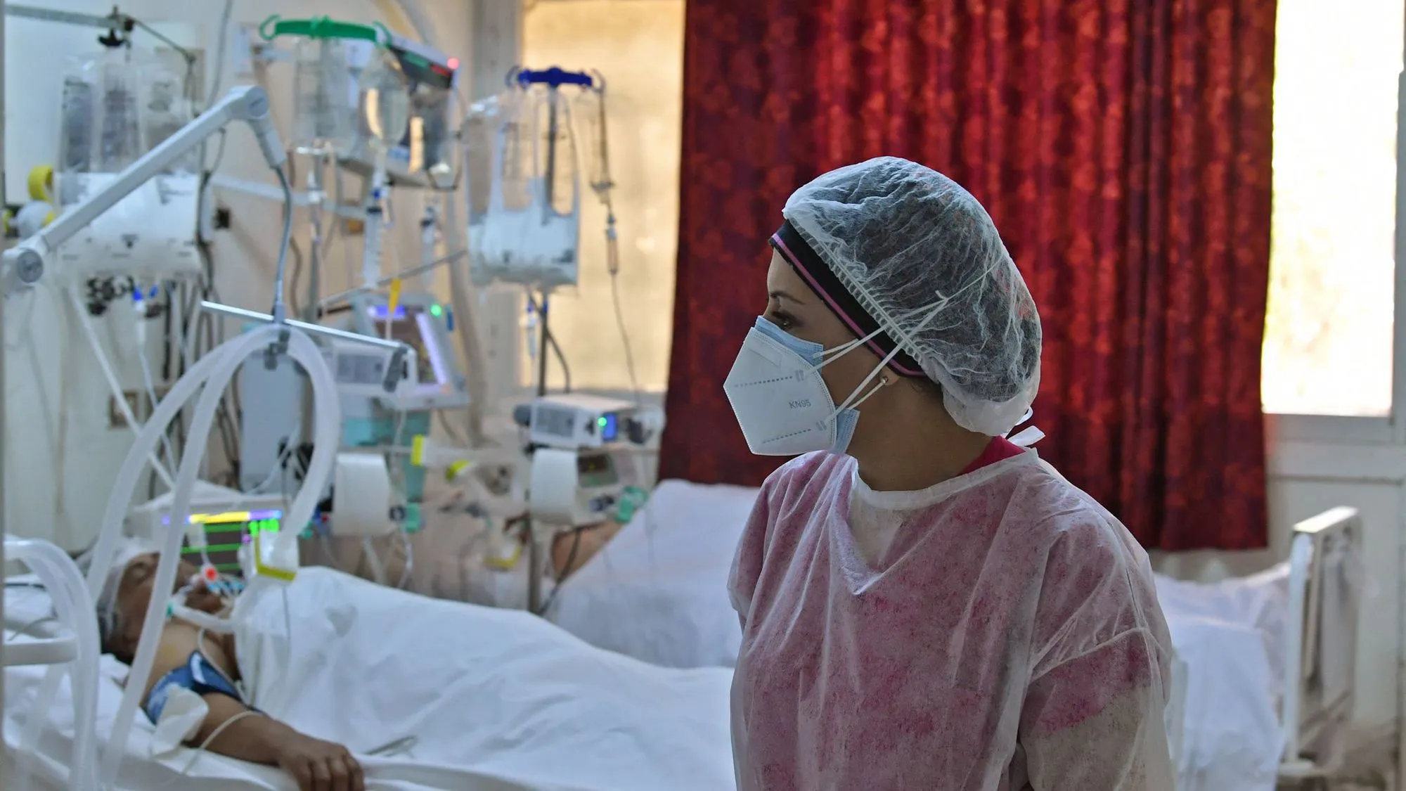 Percée mondiale en immunologie : un hôpital algérien brille