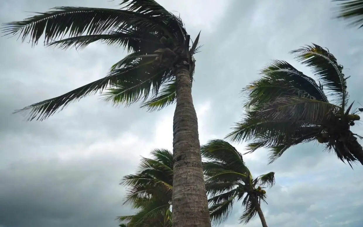 Météo en Algérie : orages et fortes chaleurs ce lundi Météo en Algérie : orages et fortes chaleurs ce lundi