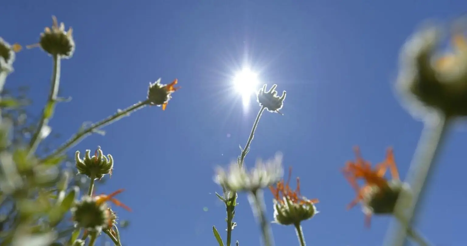 Météo du 7 octobre en Algérie : calme ou orages à venir ?